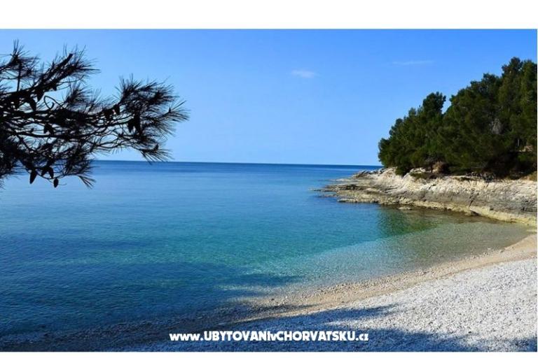 Apartman Viktorija – foto 10