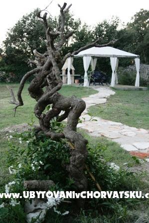 Apartmani Brioni – foto 8