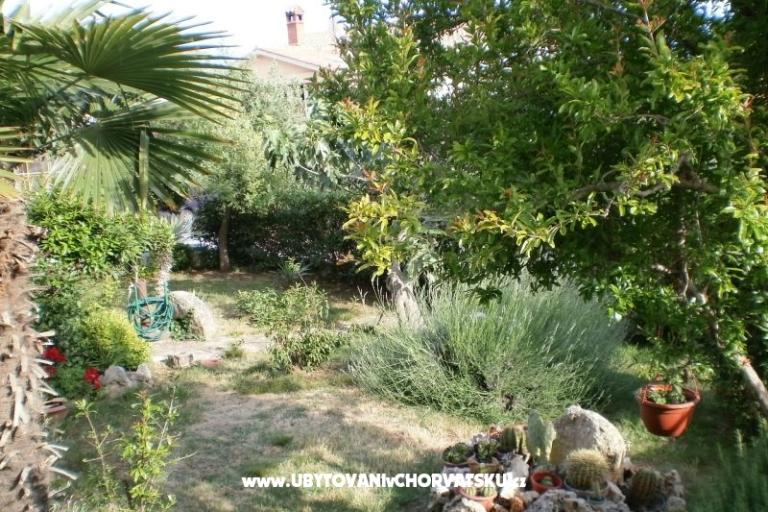 Apartmani Marco – foto 7