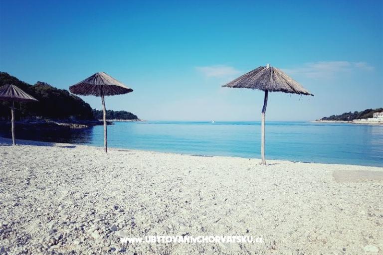 Apartmani Perunika – foto 6