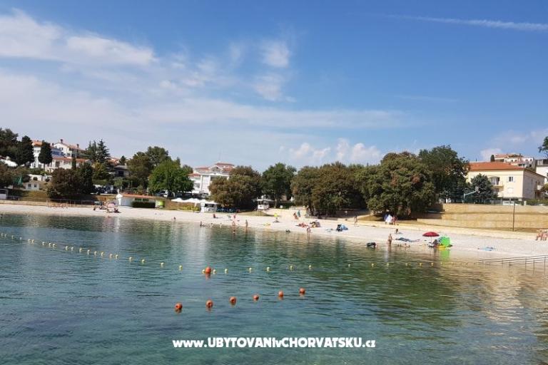 Apartmani Perunika – foto 8