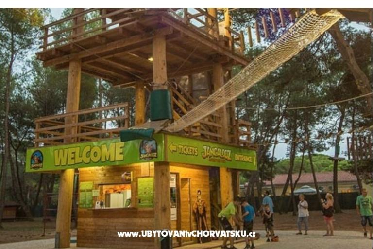 Apartmani Udovičić – foto 18