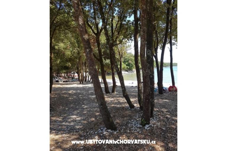 Apartmani Duga Uvala – foto 15