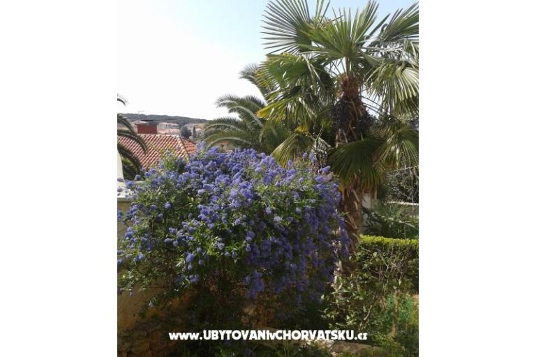 Apartmani Ivana – foto 14