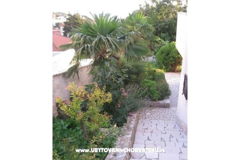 Apartmani Ivana – foto 16