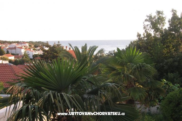 Apartmani Ivana – foto 17