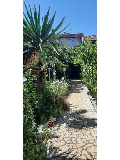 Apartmani Alida Stinjan – foto 21