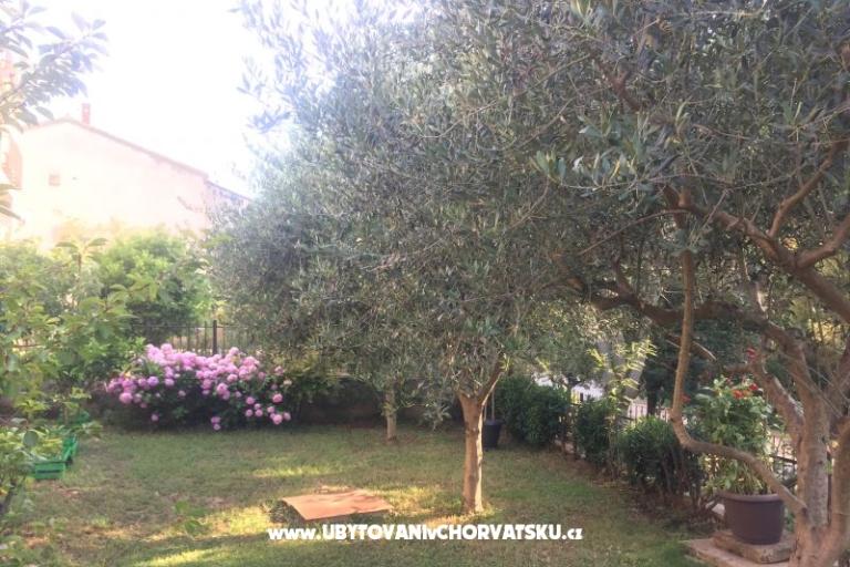 Apartmani Tea – foto 12