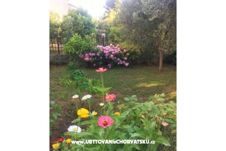 Apartmani Tea – foto 13