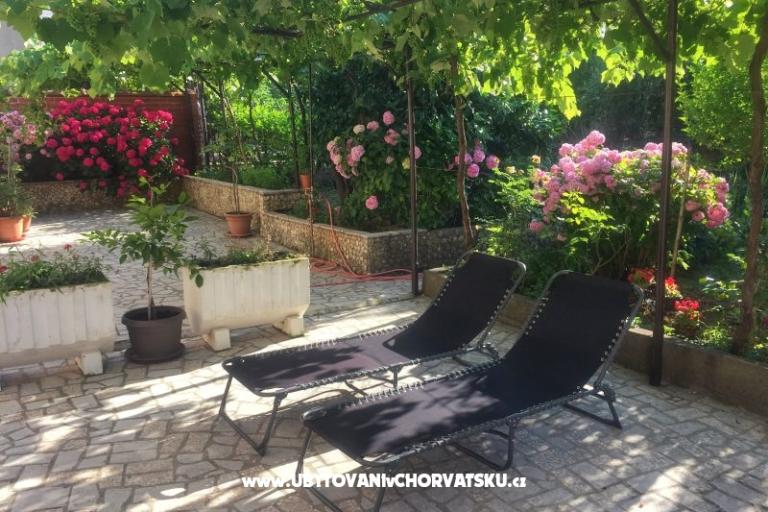 Apartmani Tea – foto 14