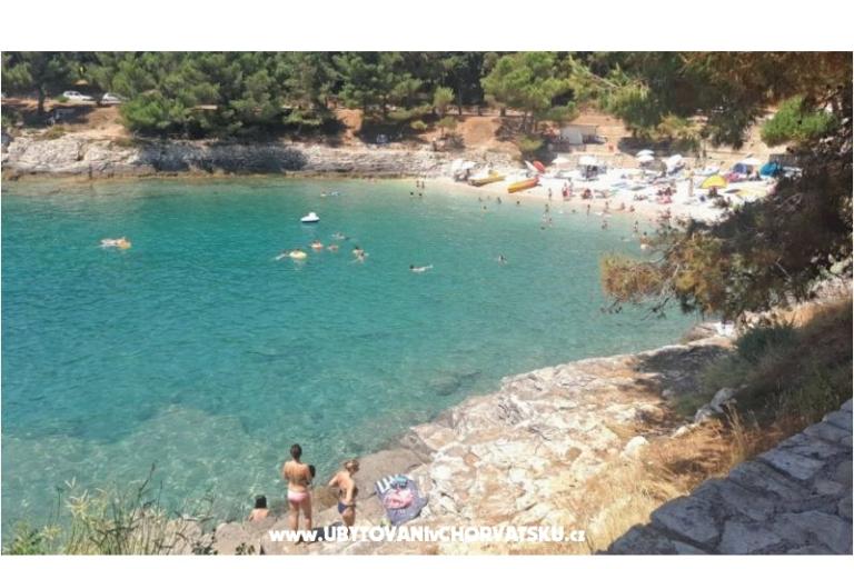 Apartmani Tea – foto 17