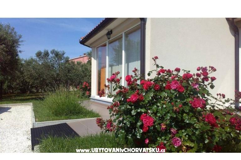 Kuća za odmor Brcina – foto 7