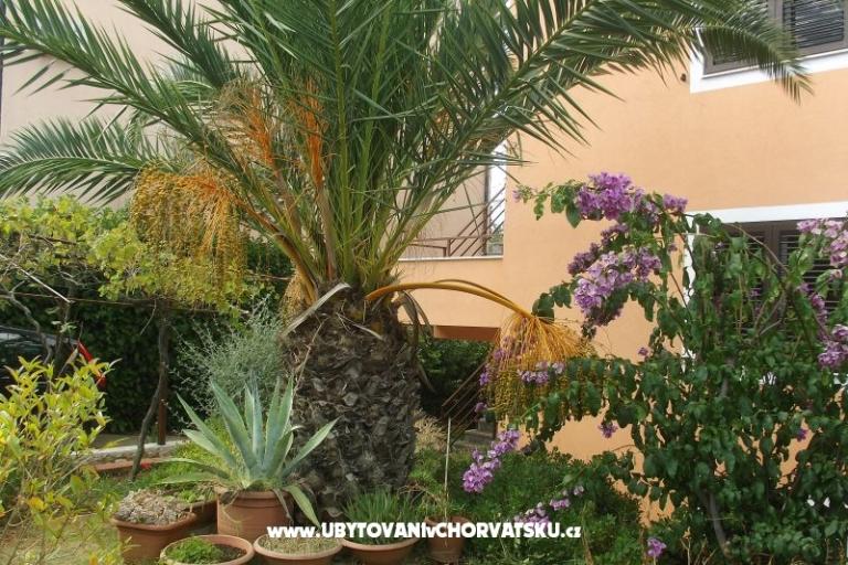 Privatna kuća – foto 11