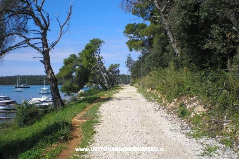 Privatna kuća – foto 14