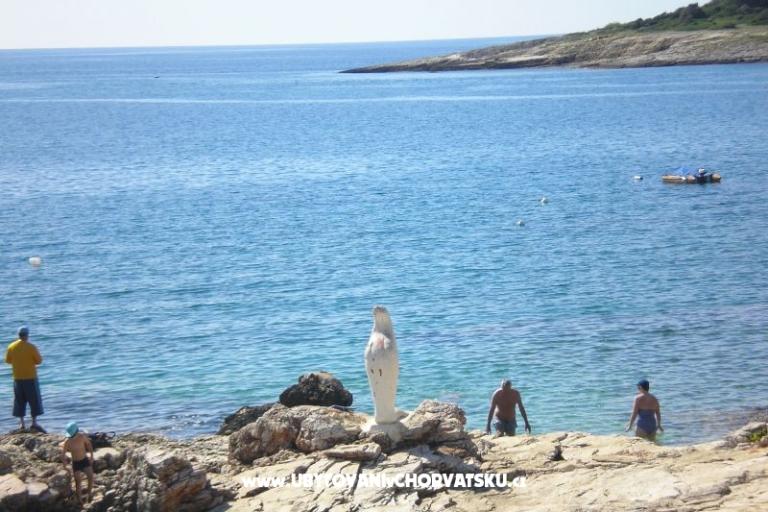 Privatna kuća – foto 15