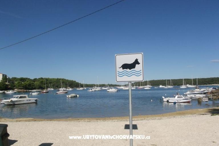 Privatna kuća – foto 18