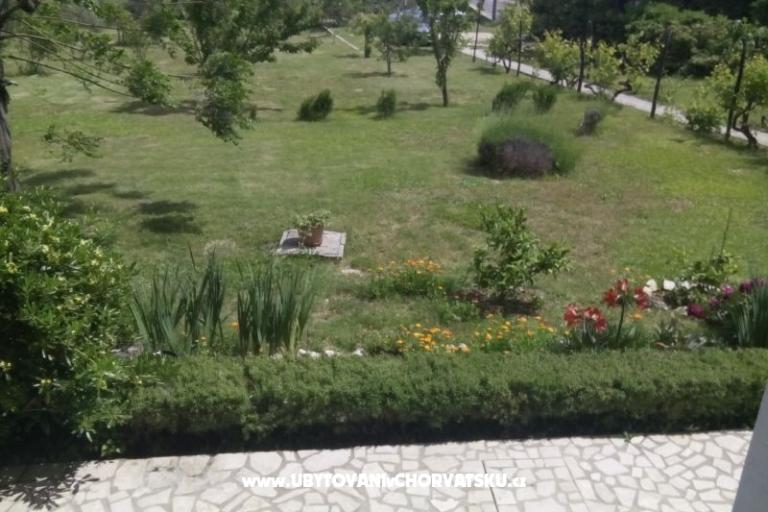 Apartmani Ankica – foto 13