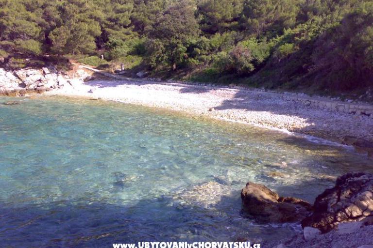 Apartmani Ankica – foto 7