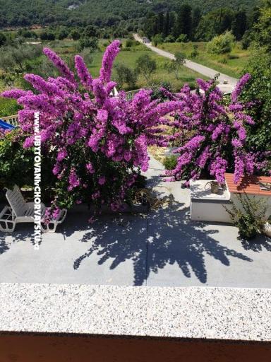 Apartmani Lupić – foto 16