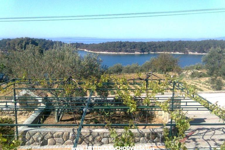Apartmani Mlacović – foto 10