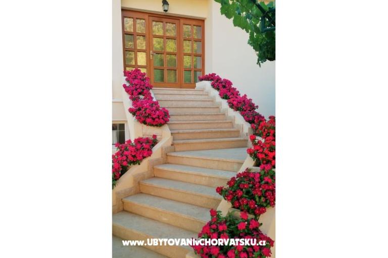 Apartmani Natalija – foto 2