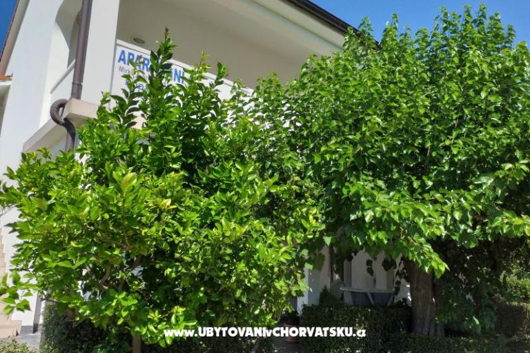 Apartmani Snjezana – foto 8