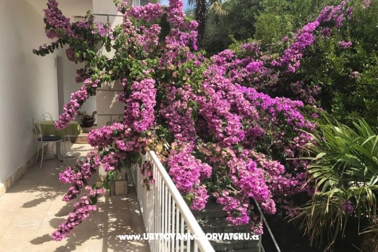 Apartmani  Španjol – foto 4