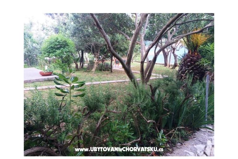 Apartmani Supetarska Draga – foto 15