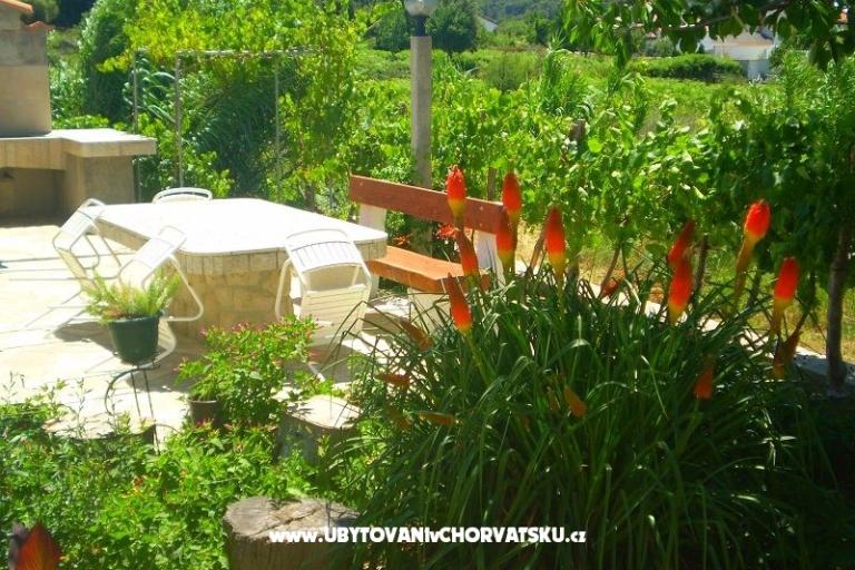 Apartmani Vesna – foto 17