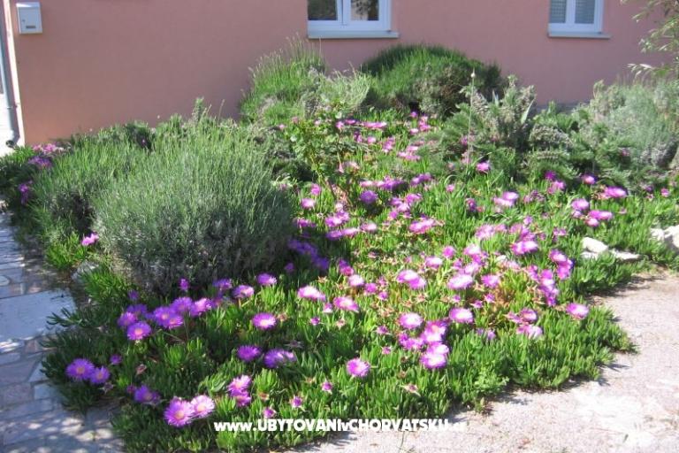 Apartman Marina exclusive – foto 3
