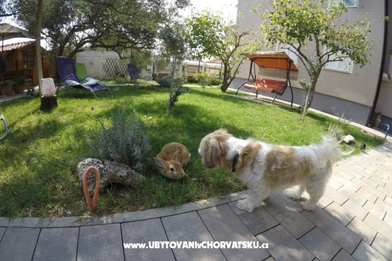 Apartmani- Villa Ilijic – foto 11