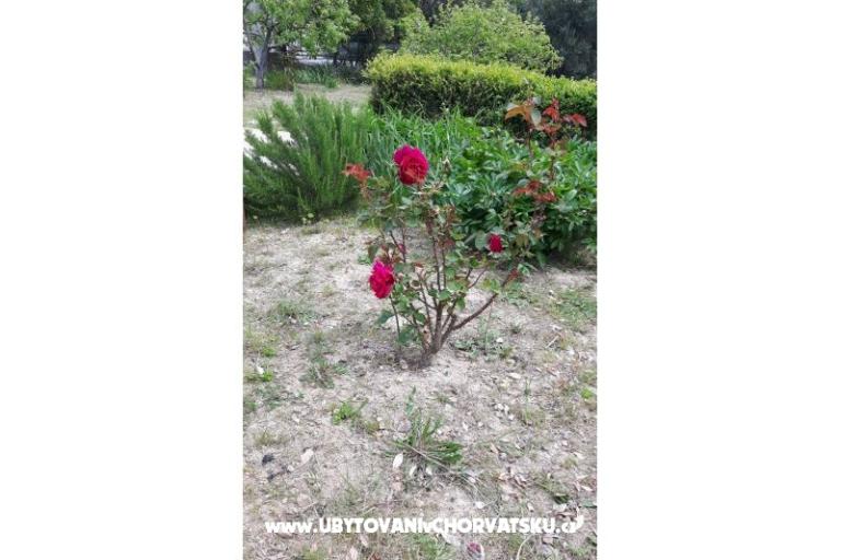 Sobe Jadra – foto 7