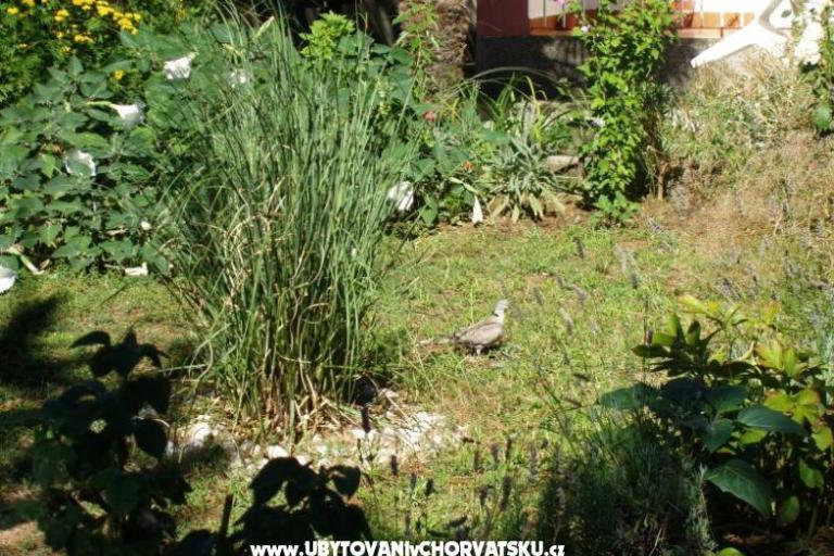 Apartmani Malvina – foto 10