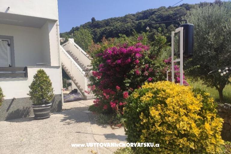 Apartmani uvala Vardoža – foto 54