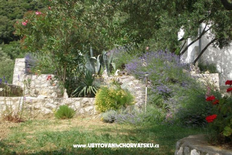 Kuća Zorka – foto 9