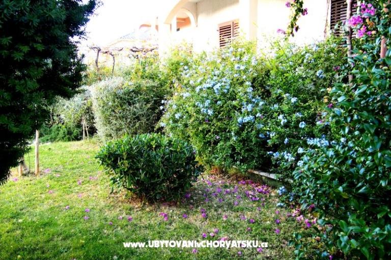 Kuća Ivanić – foto 2