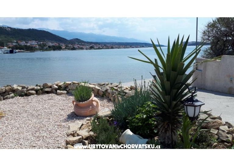 La Gatta Apartmani – foto 13