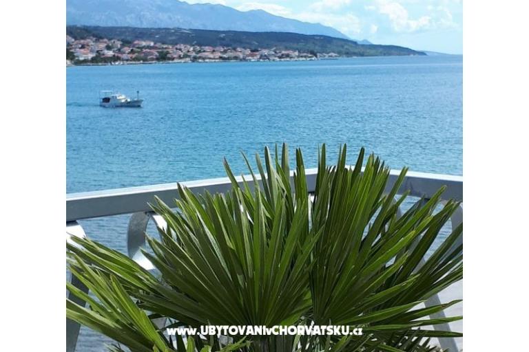 La Gatta Apartmani – foto 3