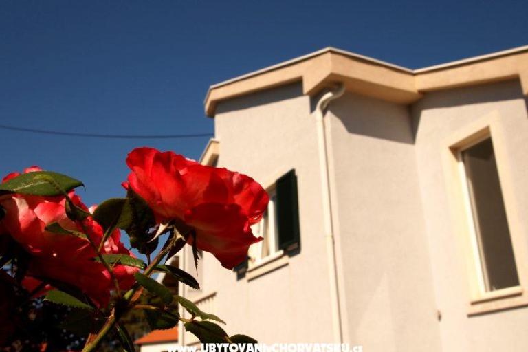Villa Petra – foto 16