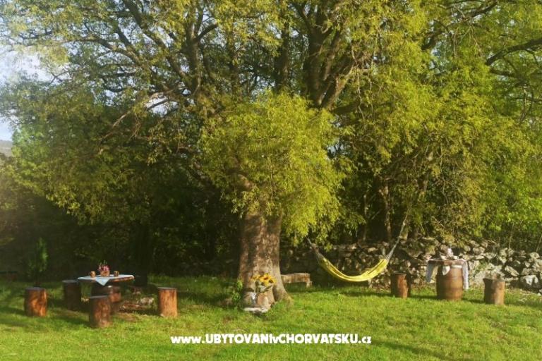 Traditional Istrian Kuća ENI – foto 11