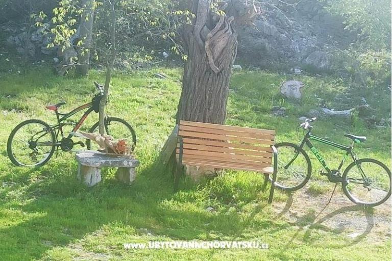 Traditional Istrian Kuća ENI – foto 12