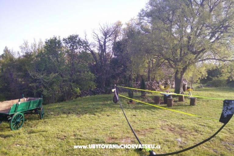 Traditional Istrian Kuća ENI – foto 14