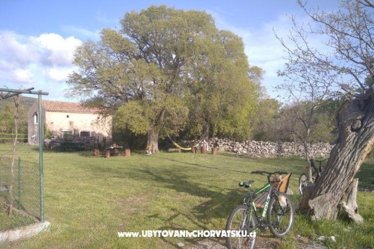 Traditional Istrian Kuća ENI – foto 4