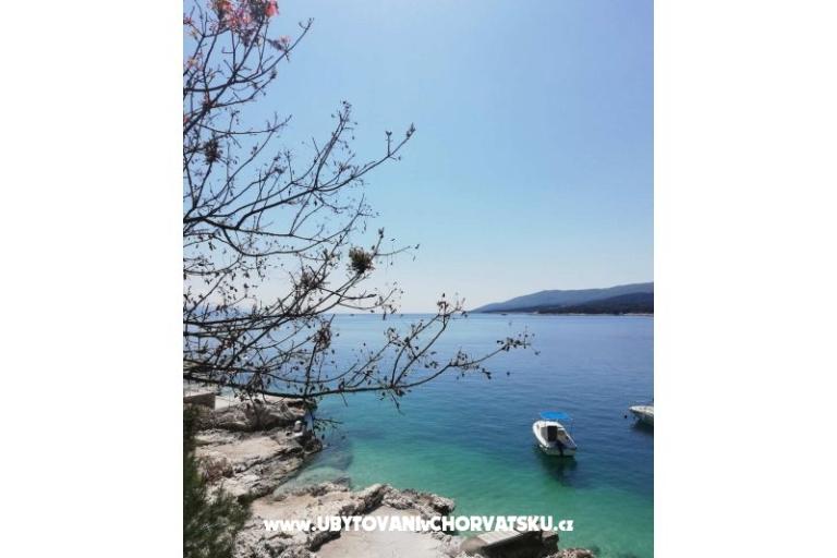 Traditional Istrian Kuća ENI – foto 7