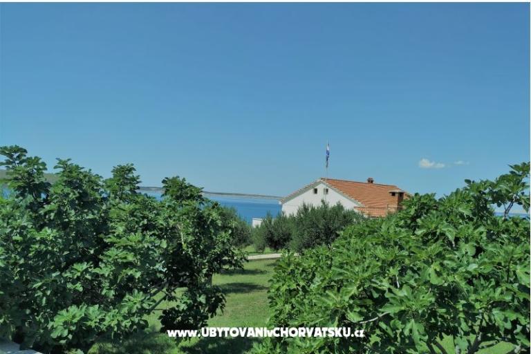 Apartman Miočić - Adam – foto 13