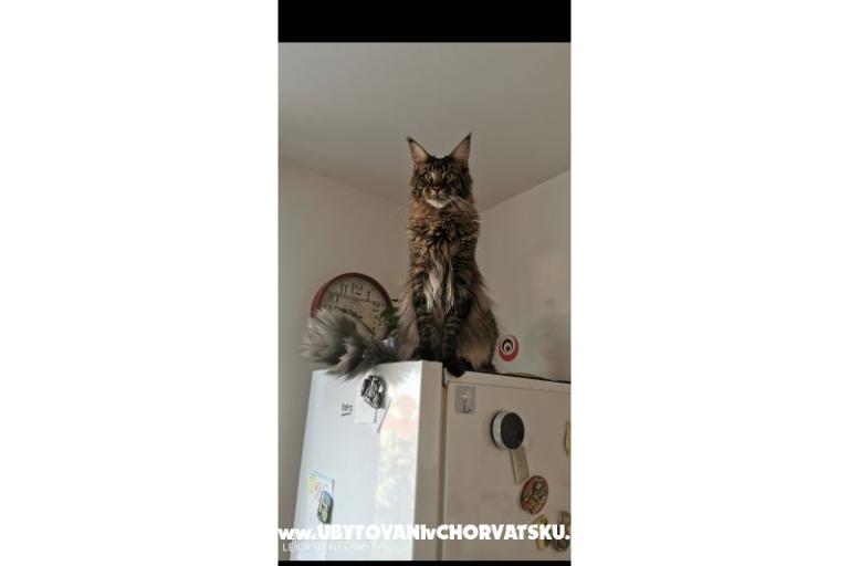 Apartmani CAPE – foto 35
