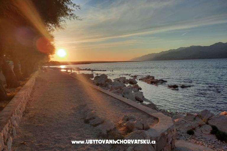 Apartmani FLOBI – foto 8