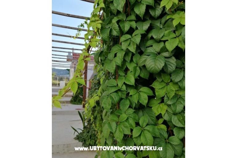 Apartmani Kožul – foto 14