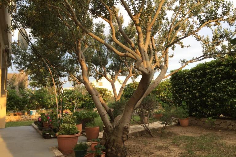 Apartmani Biba i Luce – foto 2