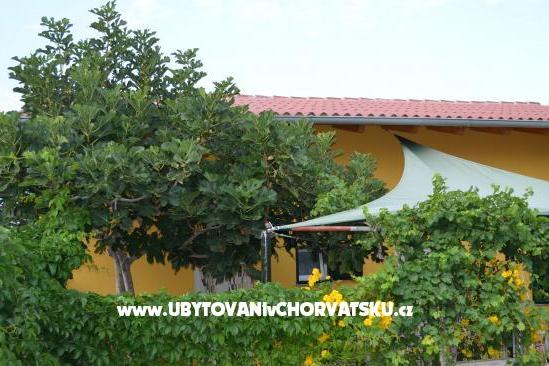 Apartmani Negro – foto 9